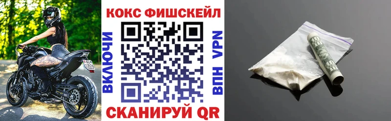 ссылка на мегу   Нижнекамск  Cocaine Fish Scale 