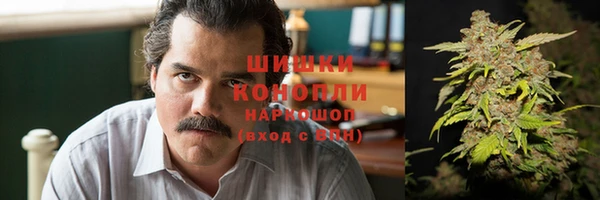 шишки Нижний Тагил