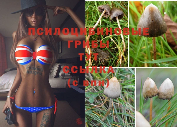 кокаин колумбия Магас