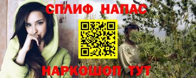 спиды Заволжье