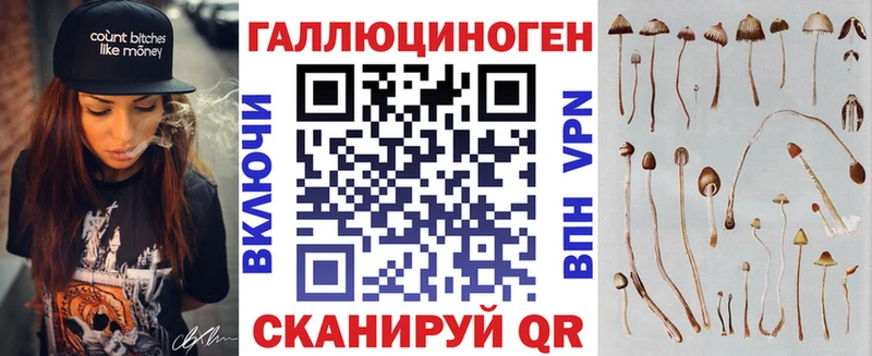 закладка Нижнекамск Галлюциногенные грибы мицелий