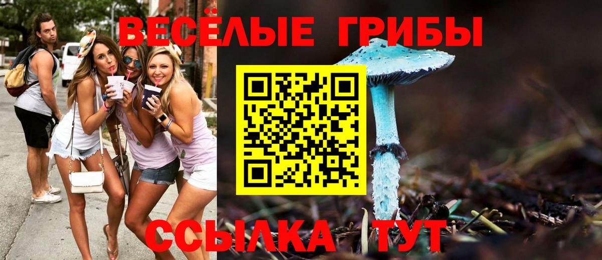 Псилоцибиновые грибы прущие грибы  Псилоцибиновые грибы ЛСД  Нижнекамск 