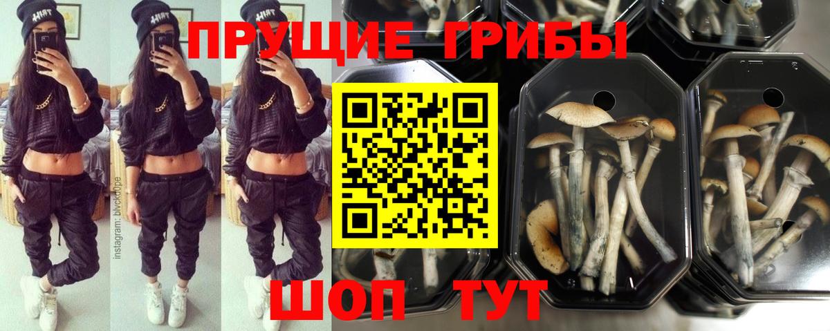 Псилоцибиновые грибы мухоморы Нижнекамск